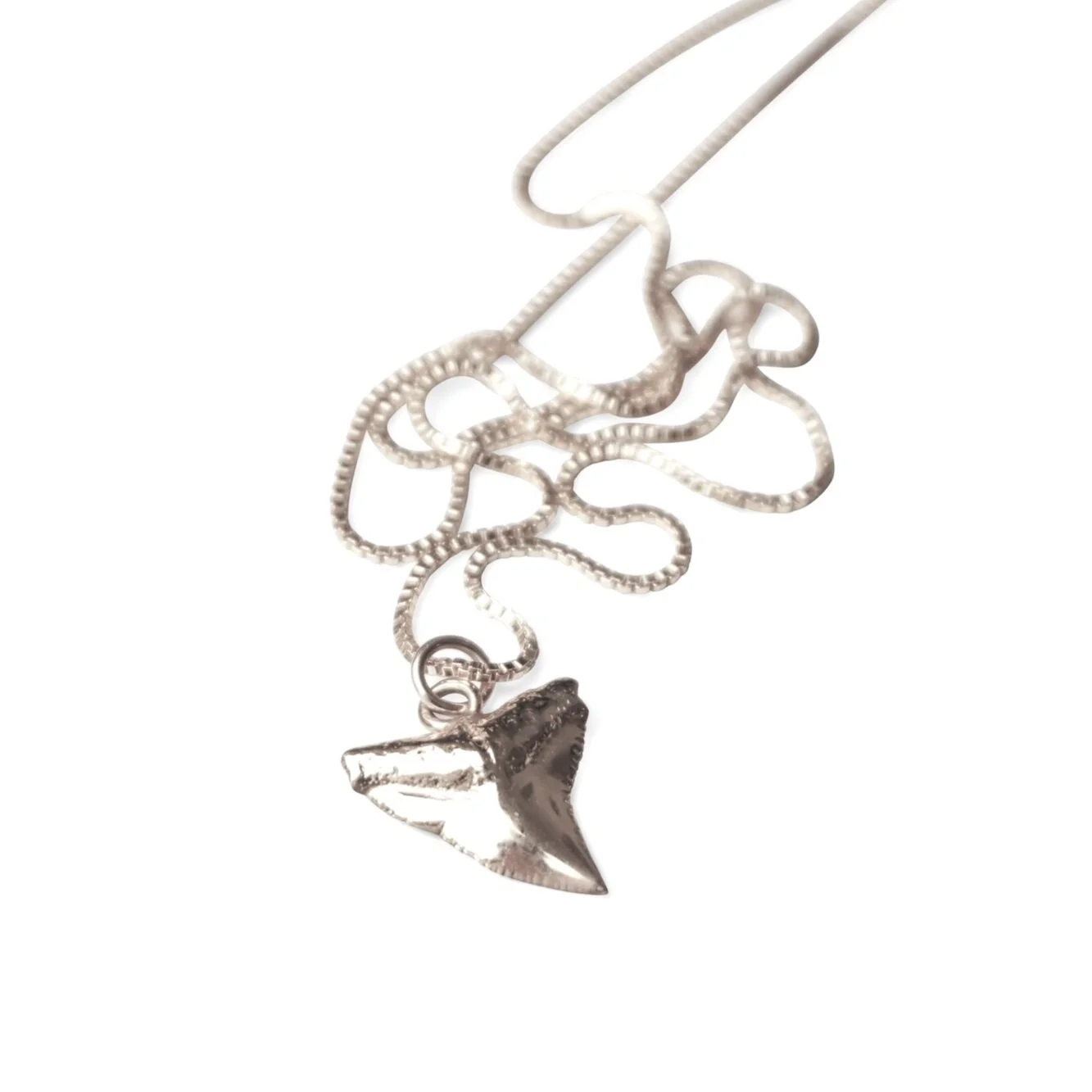 ☆BTS着用☆関税込★PORTRAIT REPORT★“Shark Tooth” Necklace Shark's Tooth necklace – [ki-ele]